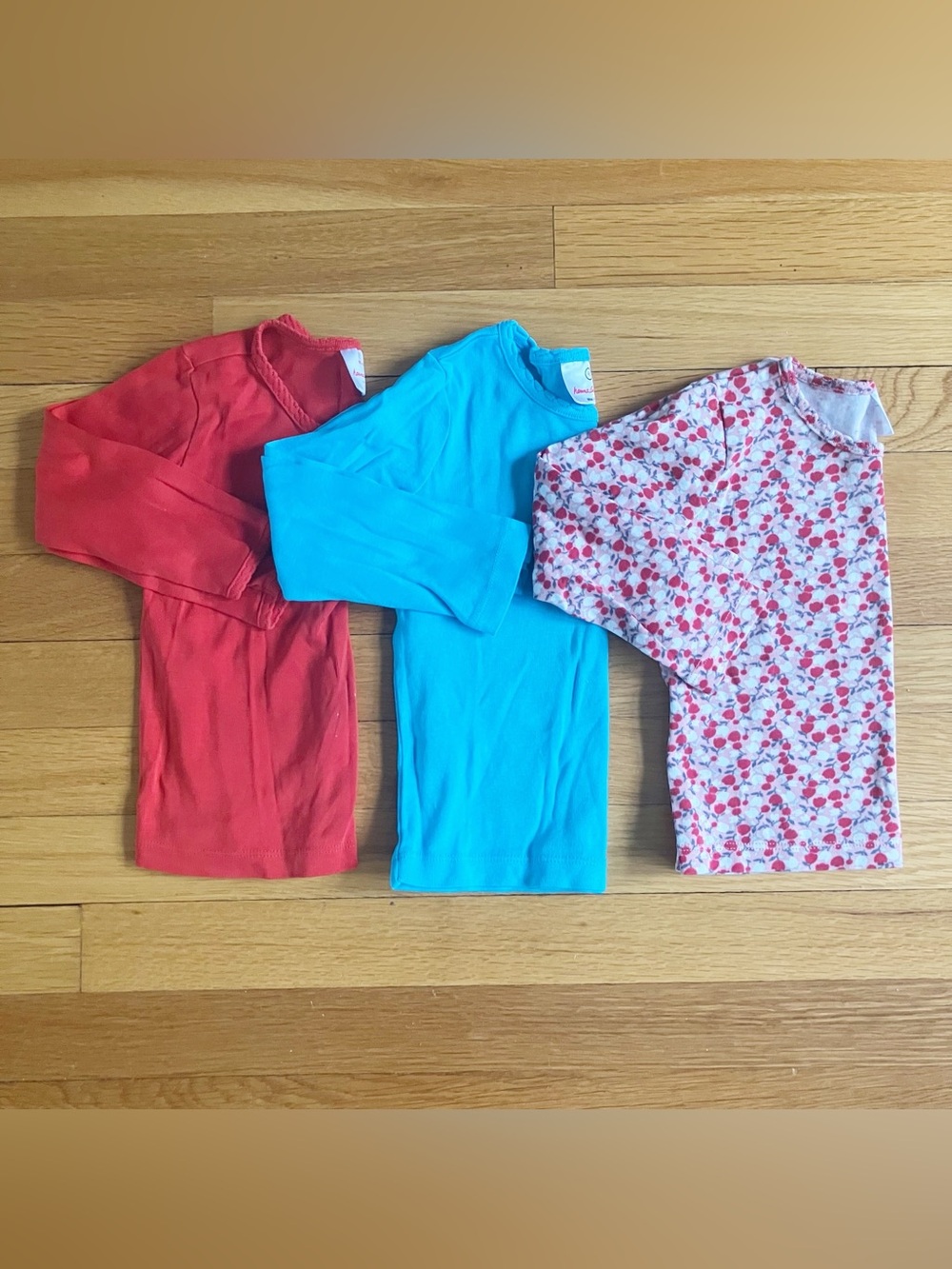 Hanna Andersson Red Blue Floral Pima Cotton Daycare School Long Sleeve 90 3T